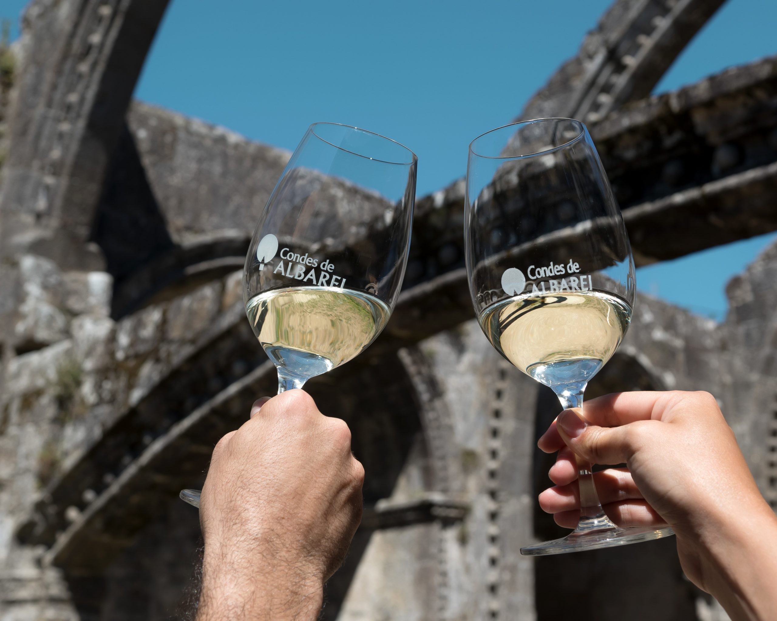 dried flowers hanging on the wall