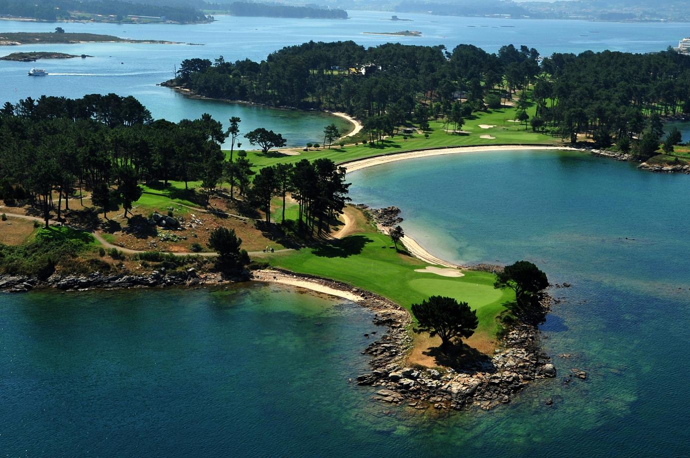 dried flowers hanging on the wall