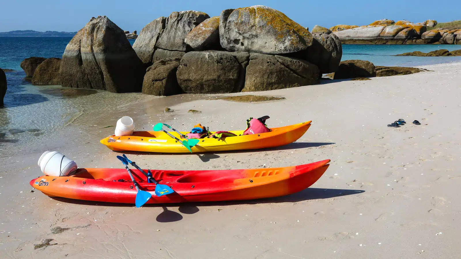 dried flowers hanging on the wall